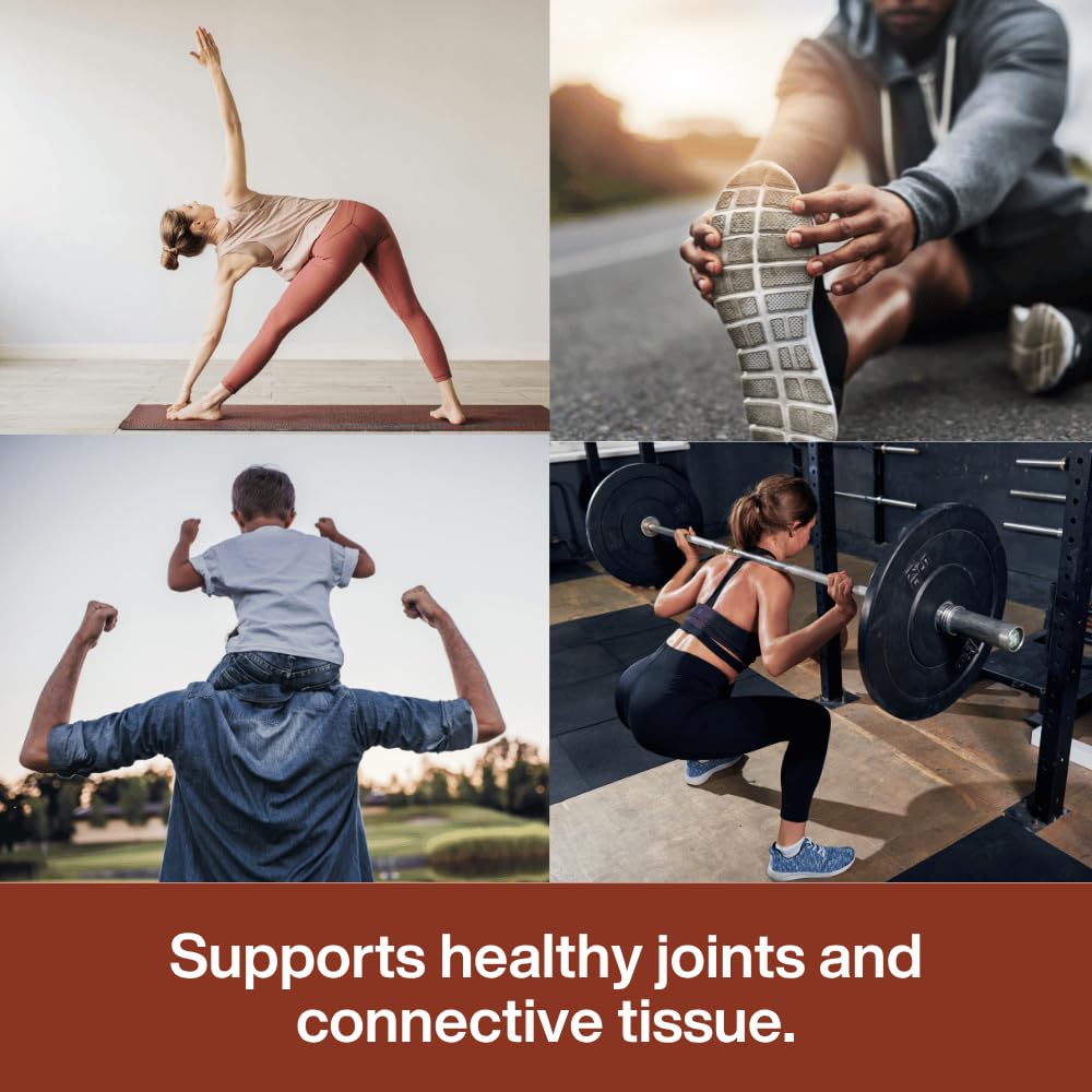 Unflavored Bone Broth Protein Powder Q162
