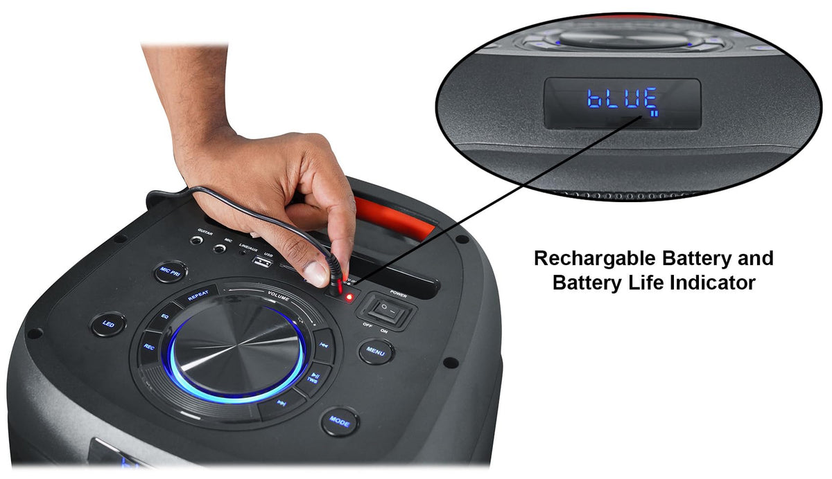 2000W Dual 8" LED Karaoke Speaker with Mic U473