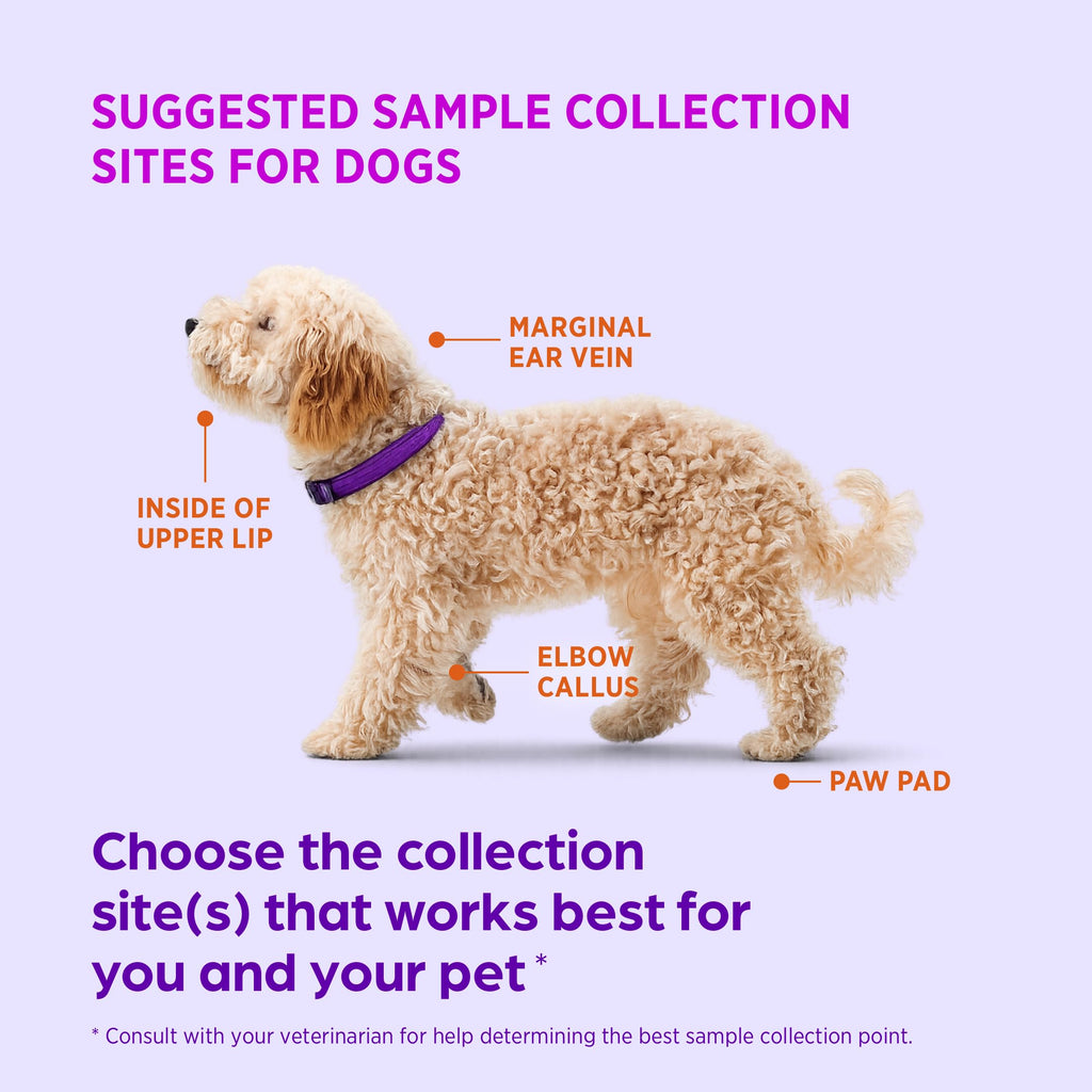 Test Strips for Diabetic Dogs, Cats & Horses, 50 Count N3607