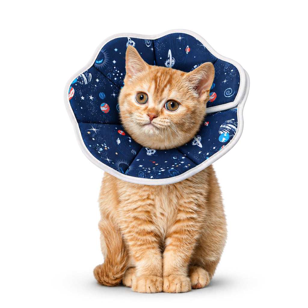 Soft Cat Recovery Cone Collar for Small Medium Cats T965