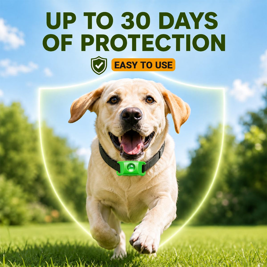 Flea and Tick Prevention Pendant for Dogs with 2 Pendants and 6 Refills G885