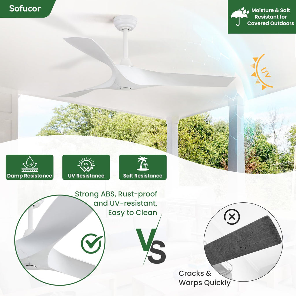52 Inch Ceiling Fan C682