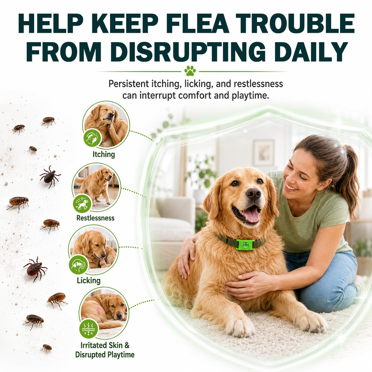Flea and Tick Prevention Pendant for Dogs with 2 Pendants and 6 Refills G885