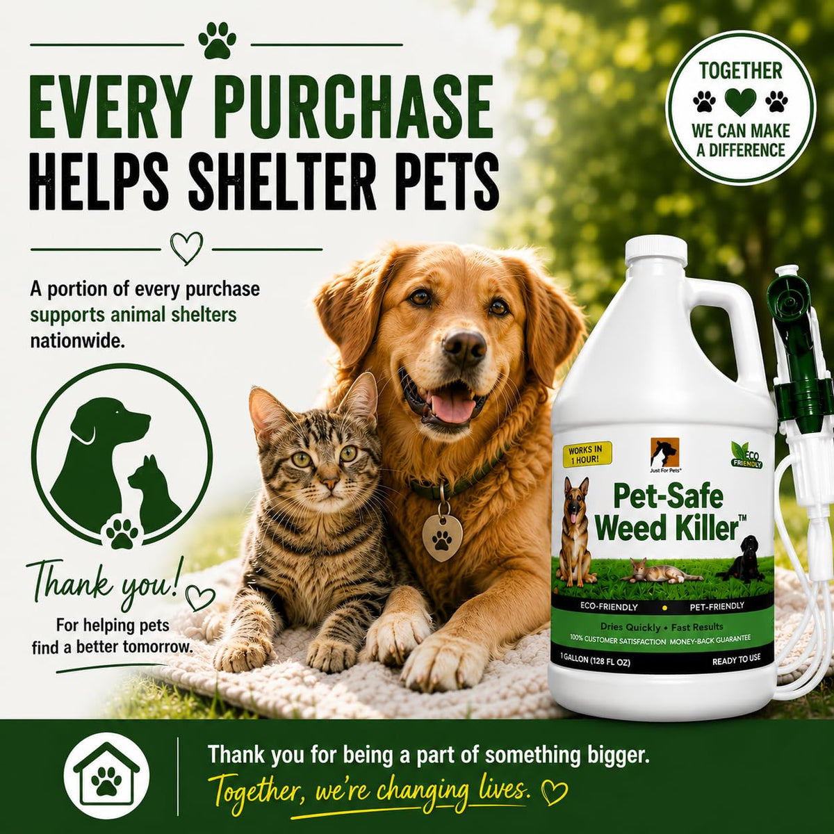 Pet Safe Weed Killer 1 Gallon with Sprayer Q7285