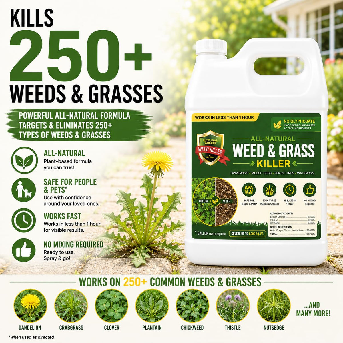 Pet Safe Weed Killer 1 Gallon with Sprayer Q7285