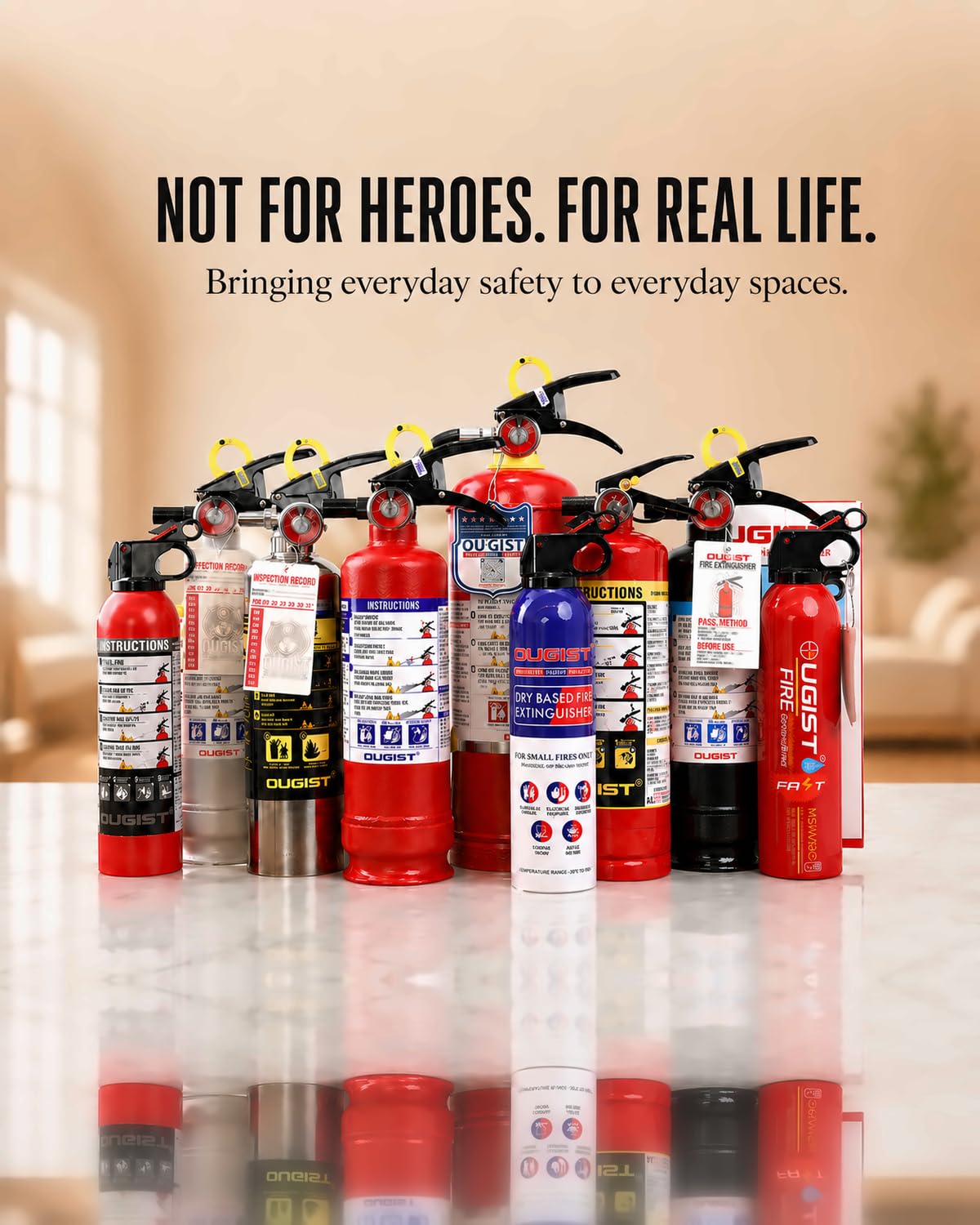 Car Fire Extinguisher 2.5lb Dry Chemical 1 Pack B624