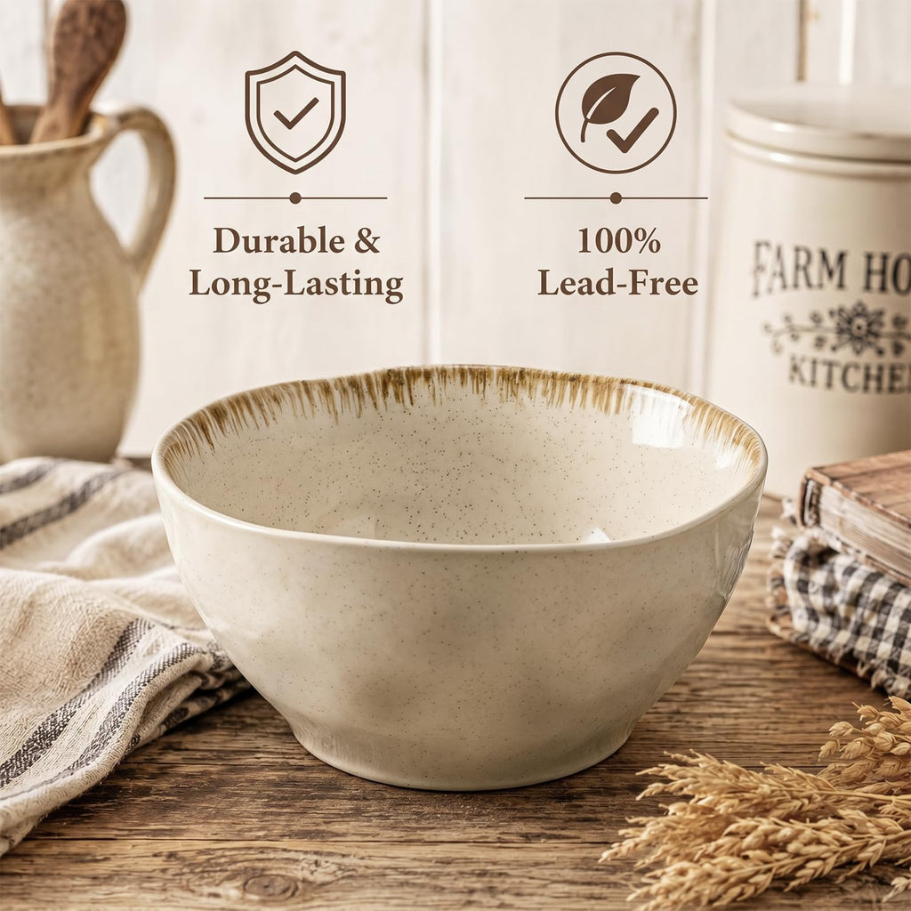 30 OZ Ceramic Soup Bowls Set of 4 Beige K142621