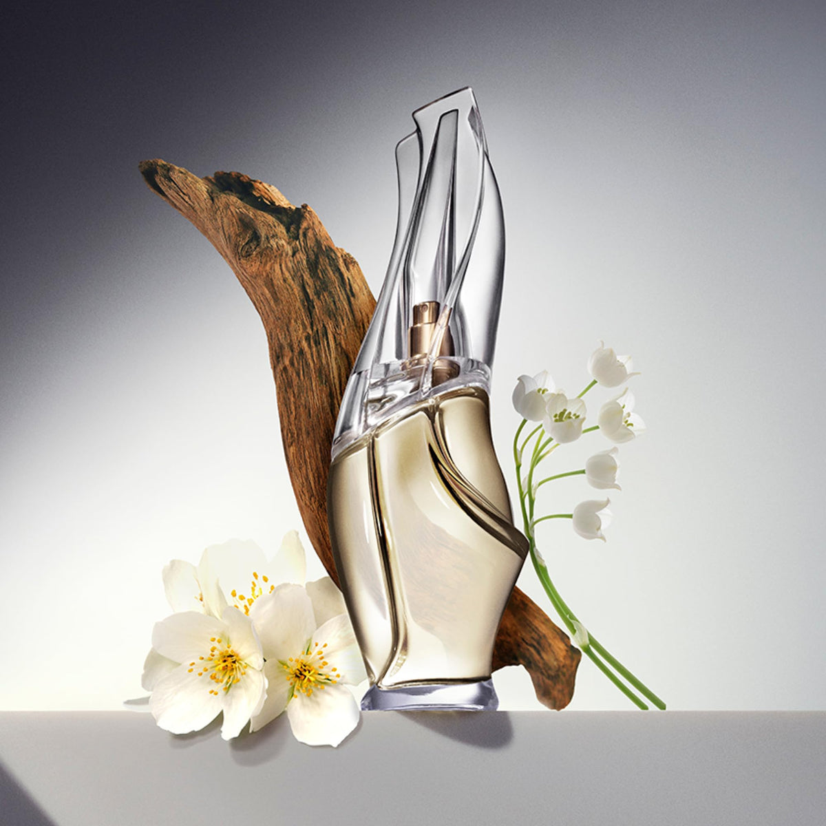 Cashmere Mist Eau de Toilette N92487