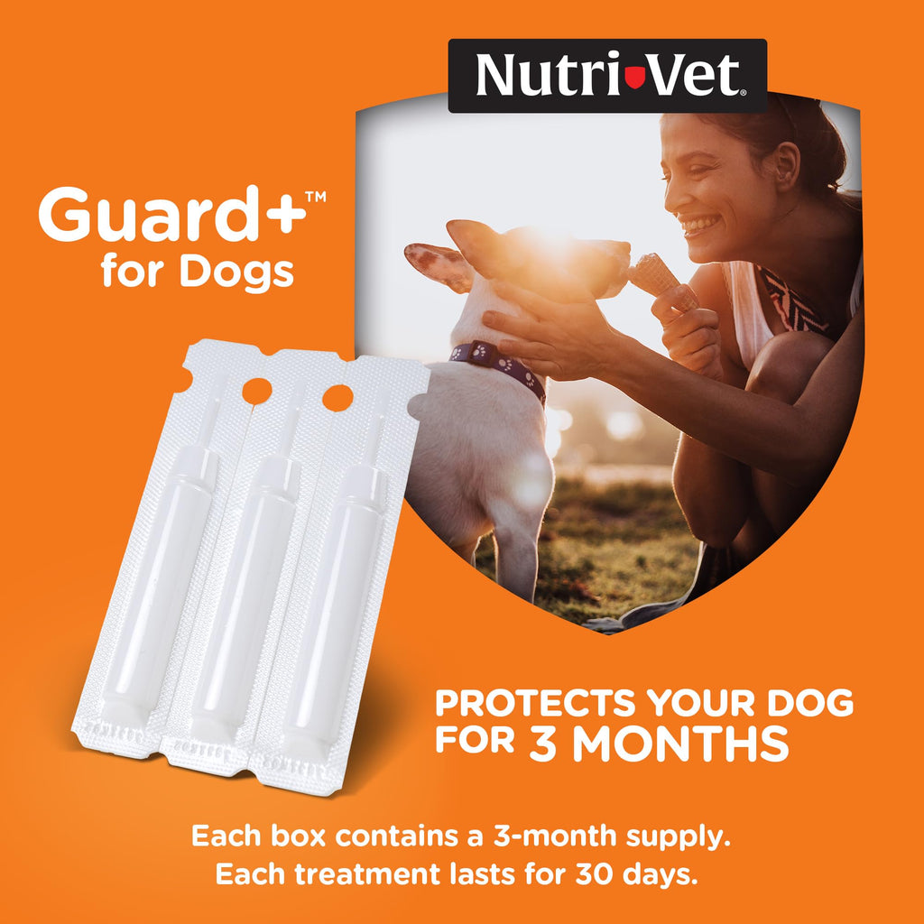 Flea Treatment 3 Doses H1368