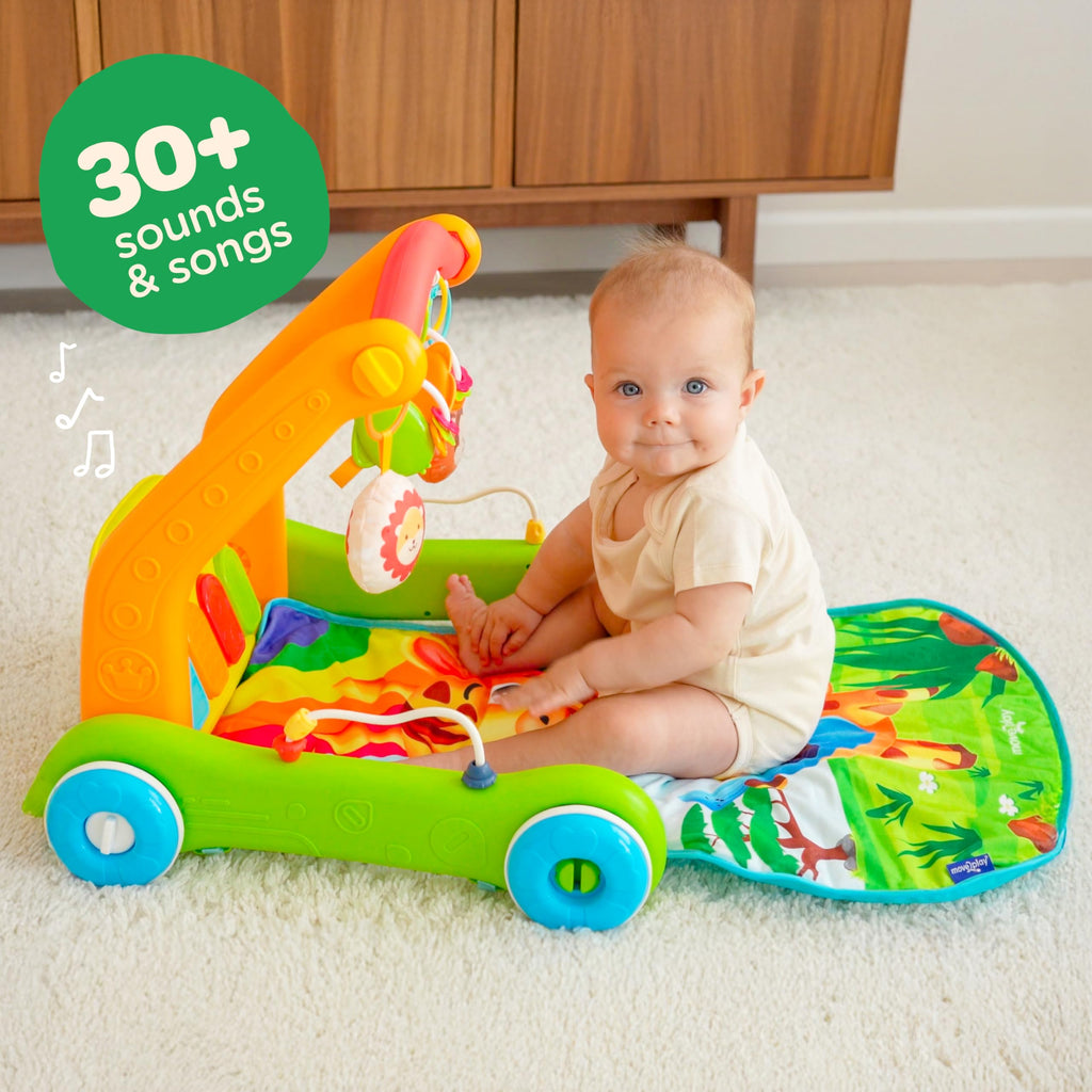 4-in-1 Baby Play Mat & Musical Activity Gym M9665