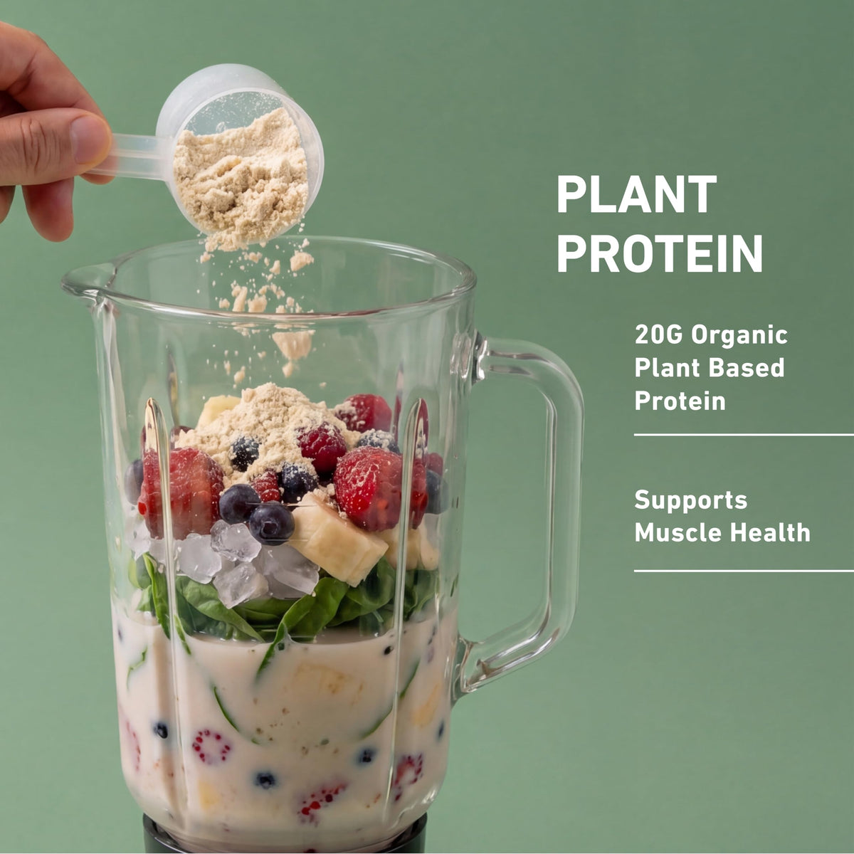 Plant-Based Protein Powder 20g Pea and Rice Protein Unflavored 20 Servings J114641