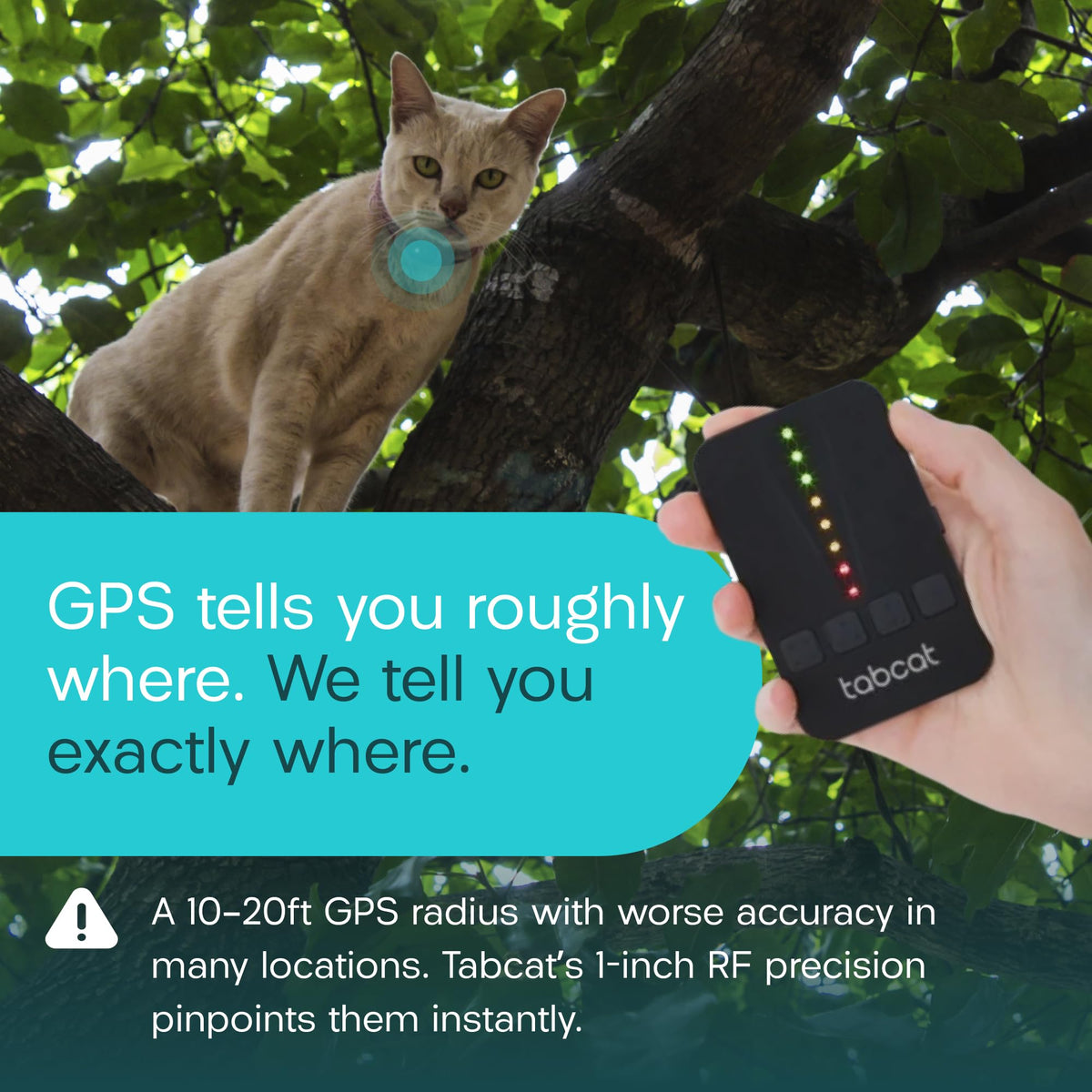Cat & Kitten Tracker with 4 Homing Tags W516