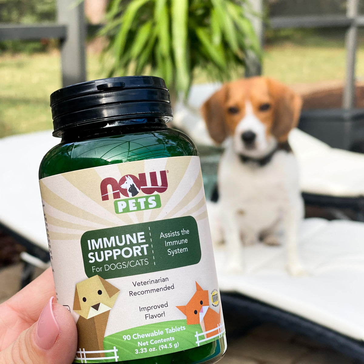 Immune Support Supplement for Cats & Dogs 90 Chewable Tablets J202359