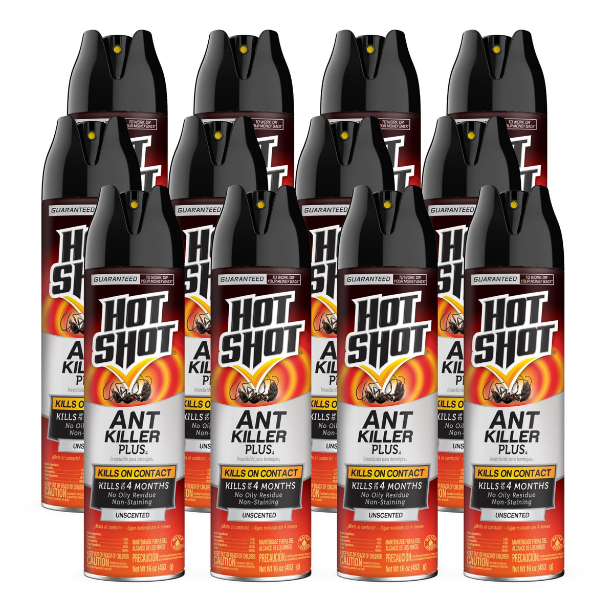 Ant Killer Aerosol 16 Oz Unscented 12 Pk M974