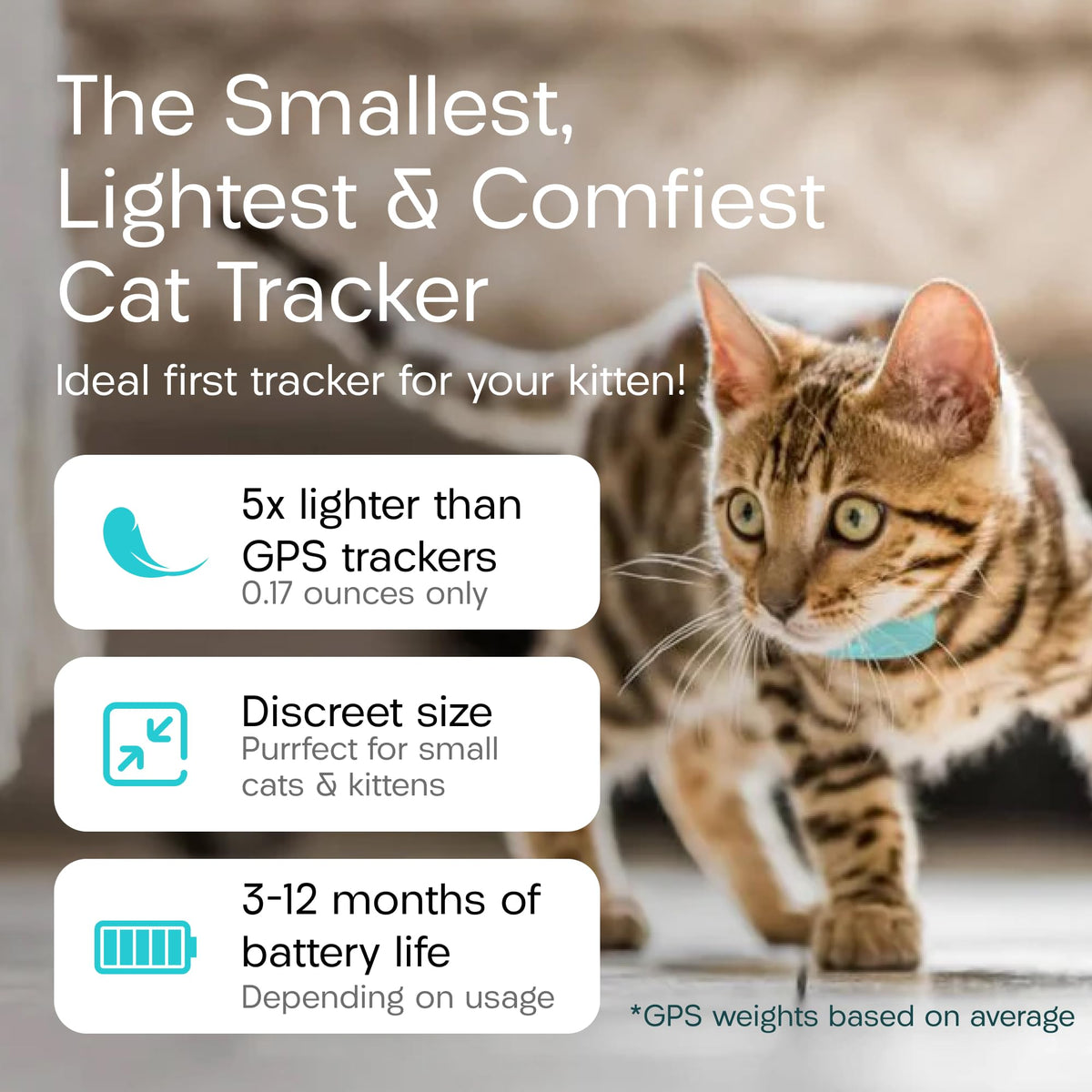 Cat & Kitten Tracker with 4 Homing Tags W516