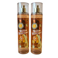 Fragrance Mist Gift Set of 2 N625
