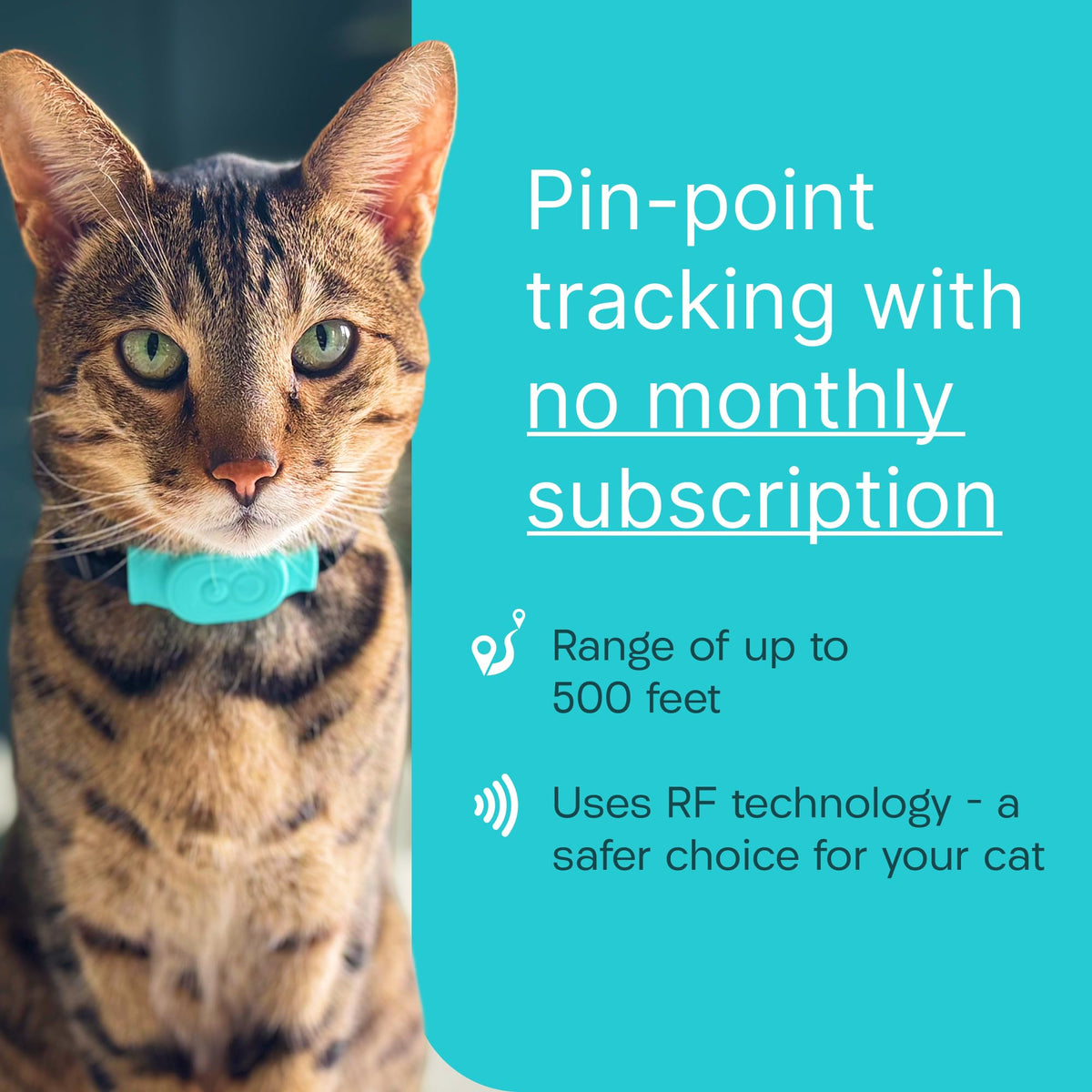 Cat & Kitten Tracker with 4 Homing Tags W516