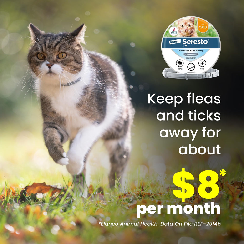 Flea & Tick Treatment & Prevention Collar for Cats X69918