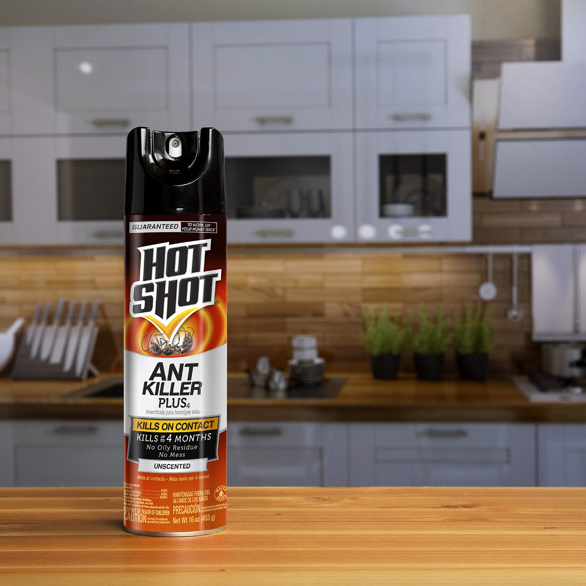 Ant Killer Aerosol 16 Oz Unscented 12 Pk M974